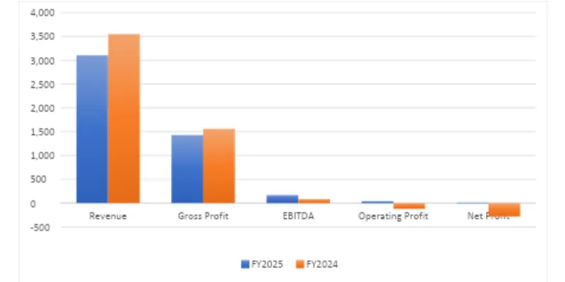 Financial Summary Table